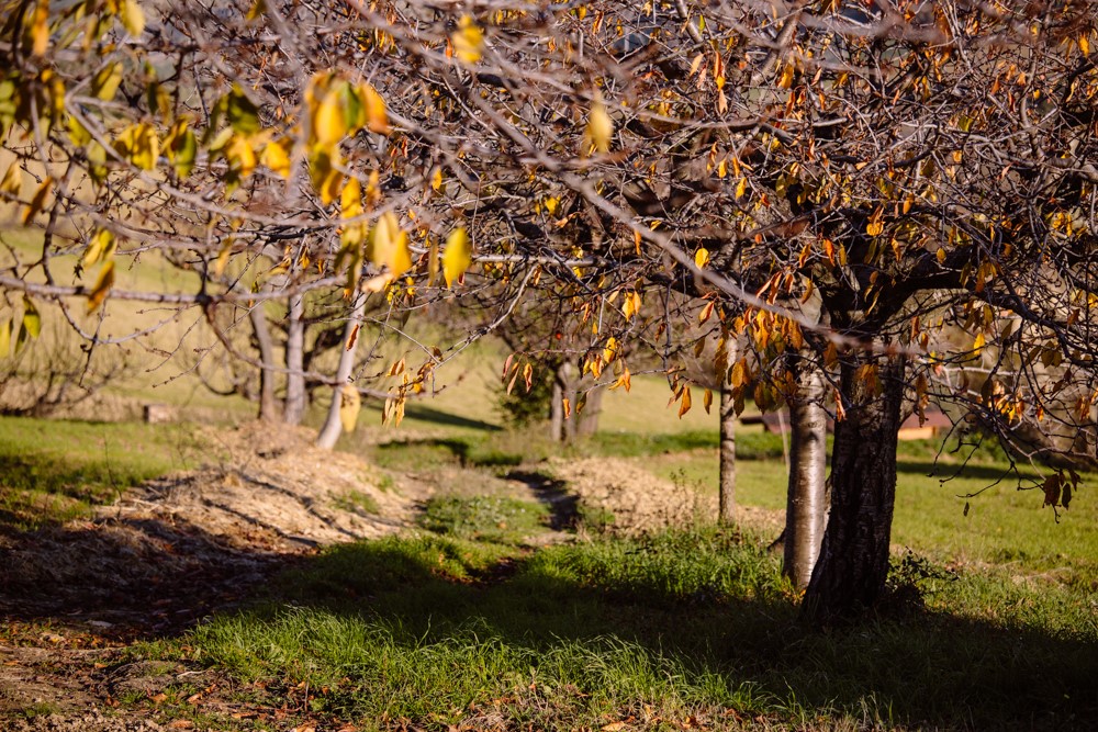 la natura