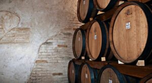 la "Solaia" della Cantina Ruggeri": Tour delle vigne Abruzzo