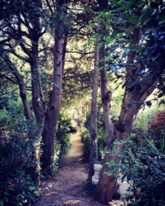 Loreto Aprutino - il Giardino dei Ligustri 