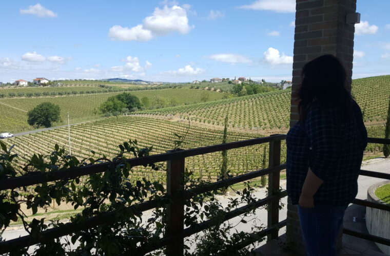 panorama vigne abruzzesi Colle Corvino