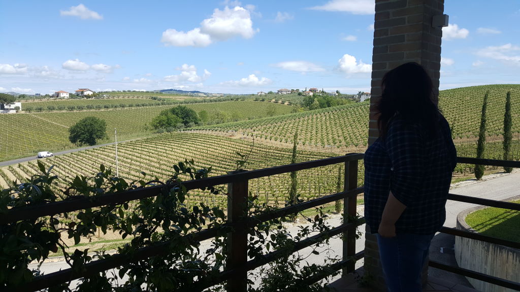 panorama vigne abruzzesi Colle Corvino