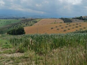 panorama colline Città Sant'angelo by lucio Milone