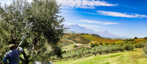 panorama Cascina Bruno Elice - esperienza naturalistica con test prodotti