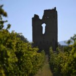 veduta delle torre del 1200 dell'azienda vinicola Torre Raone in Loreto Aprutino Abruzzo italy