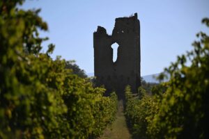 veduta delle torre del 1200 dell'azienda vinicola Torre Raone in Loreto Aprutino Abruzzo italy - Oleoturismo Abruzzo tour esperienziale