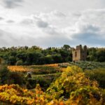 Torre Raone azienda di viticoltura. particolare della torre del 1200